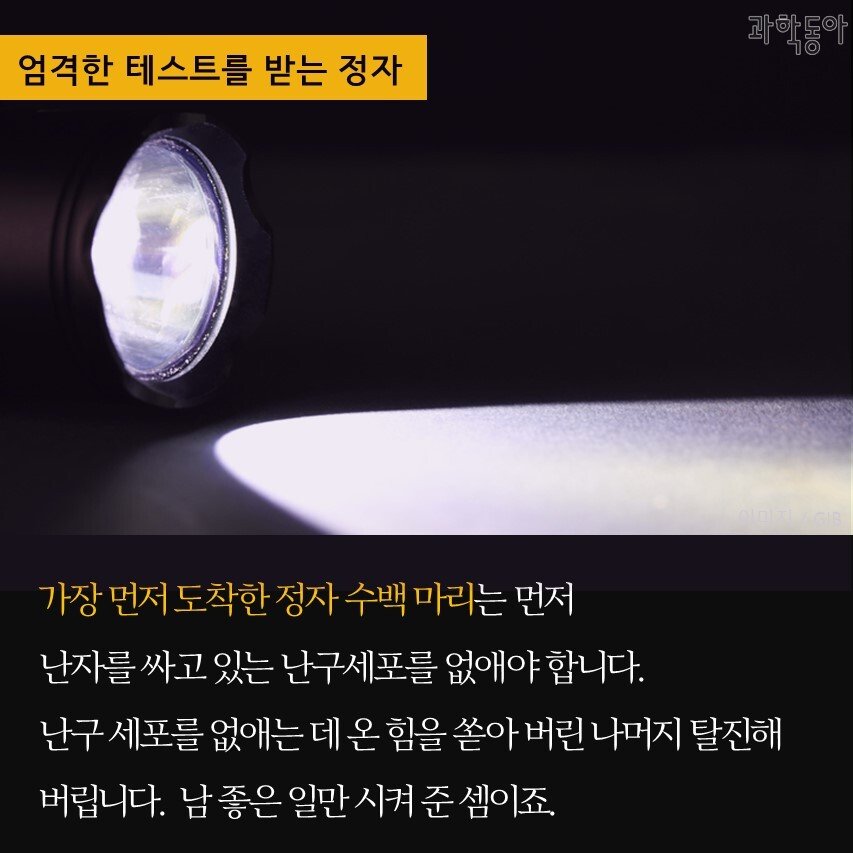 63678b7d97bf40c58cc6bbcffcf45b3d.jpg 인간의 난자는 가장 빠른 정자가 아닌 매력적인 정자를 선택한다