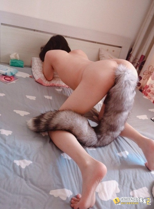 자주 놀러오는 여우
